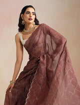 trueBrowns Copper Zari Jaal Embroidered Saree With Unstitched Blouse